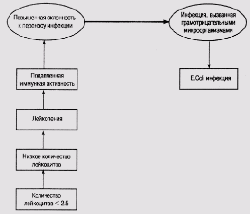 Общность эвристической классификации