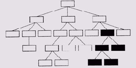 Методиквыделения правдоподобных гипотез в INTERNIST