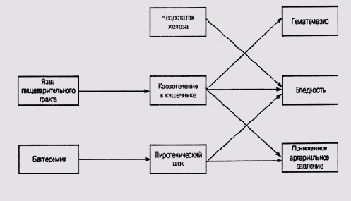 Графы, деревья и сети